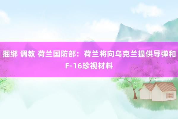 捆绑 调教 荷兰国防部：荷兰将向乌克兰提供导弹和F-16珍视材料