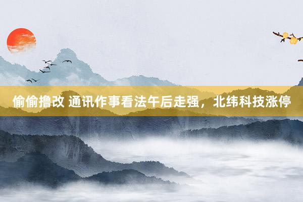 偷偷撸改 通讯作事看法午后走强，北纬科技涨停