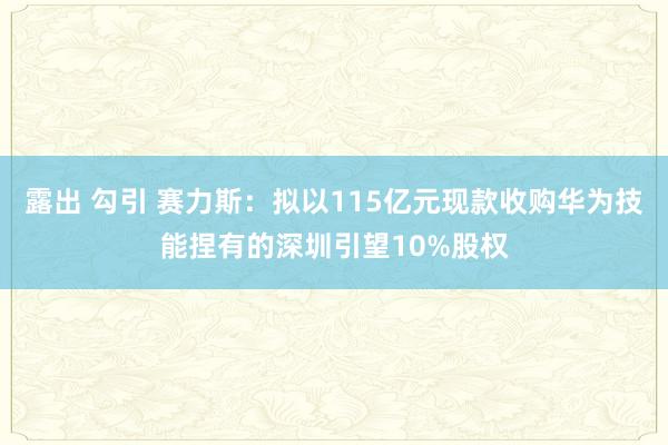 露出 勾引 赛力斯：拟以115亿元现款收购华为技能捏有的深圳引望10%股权