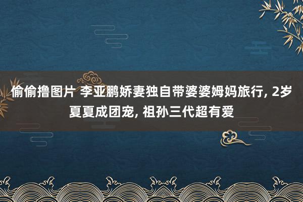 偷偷撸图片 李亚鹏娇妻独自带婆婆姆妈旅行, 2岁夏夏成团宠, 祖孙三代超有爱