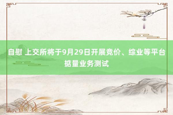 自慰 上交所将于9月29日开展竞价、综业等平台掂量业务测试