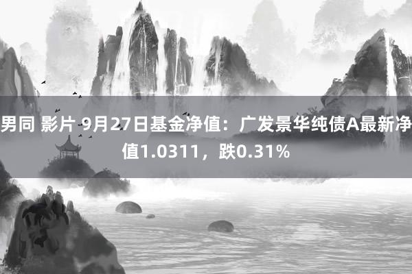 男同 影片 9月27日基金净值：广发景华纯债A最新净值1.0311，跌0.31%