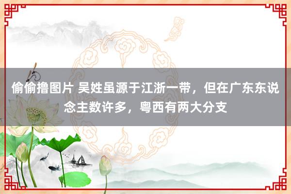 偷偷撸图片 吴姓虽源于江浙一带，但在广东东说念主数许多，粤西有两大分支