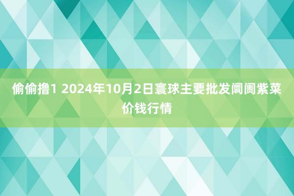 偷偷撸1 2024年10月2日寰球主要批发阛阓紫菜价钱行情