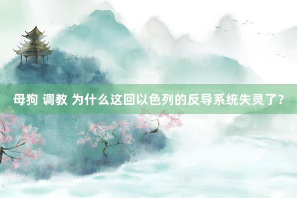 母狗 调教 为什么这回以色列的反导系统失灵了？