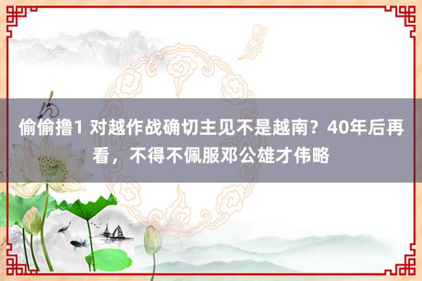 偷偷撸1 对越作战确切主见不是越南？40年后再看，不得不佩服邓公雄才伟略