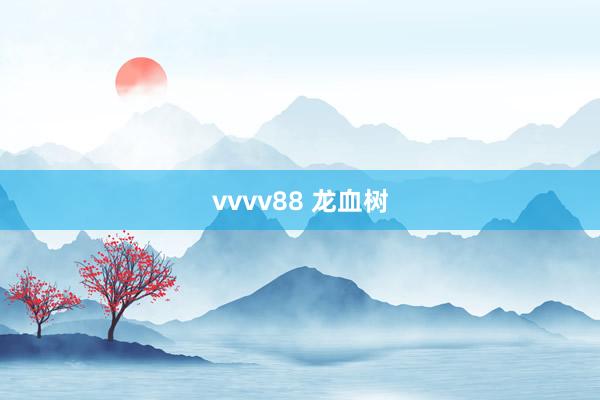 vvvv88 龙血树
