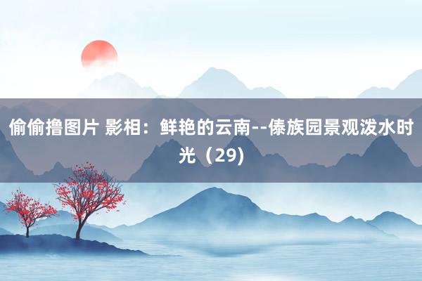 偷偷撸图片 影相：鲜艳的云南--傣族园景观泼水时光（29)