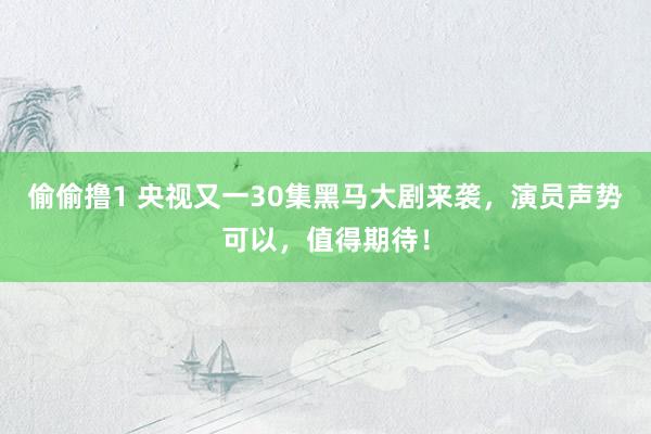 偷偷撸1 央视又一30集黑马大剧来袭，演员声势可以，值得期待！