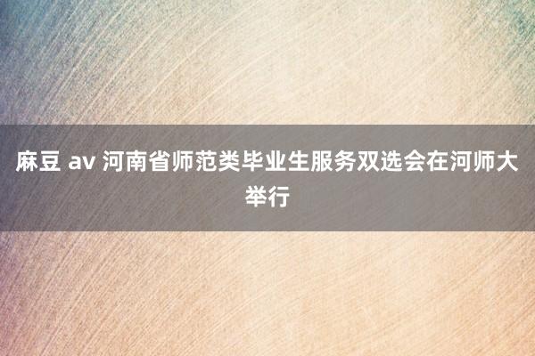 麻豆 av 河南省师范类毕业生服务双选会在河师大举行