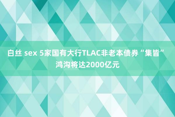 白丝 sex 5家国有大行TLAC非老本债券“集皆” 鸿沟将达2000亿元