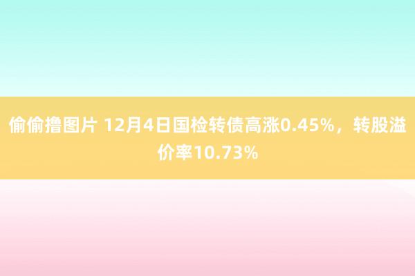 偷偷撸图片 12月4日国检转债高涨0.45%，转股溢价率10.73%