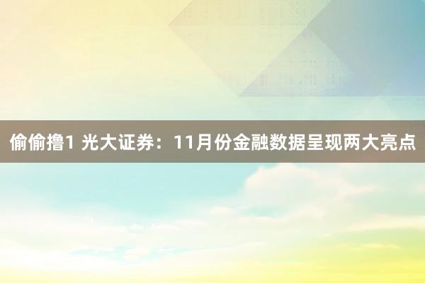偷偷撸1 光大证券：11月份金融数据呈现两大亮点