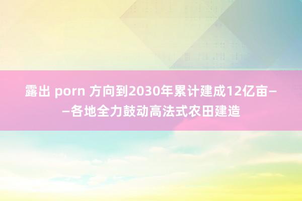 露出 porn 方向到2030年累计建成12亿亩——各地全力鼓动高法式农田建造