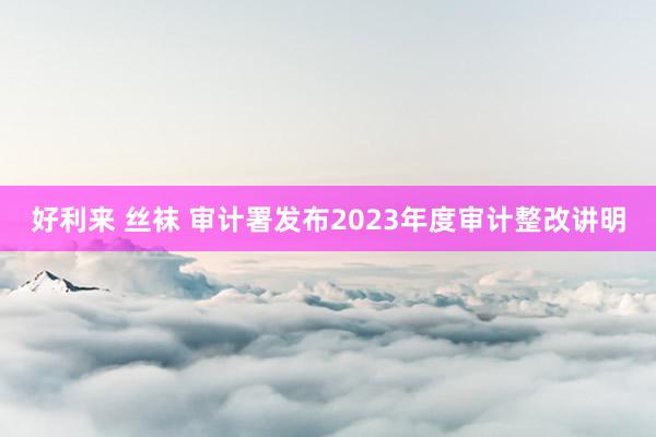 好利来 丝袜 审计署发布2023年度审计整改讲明