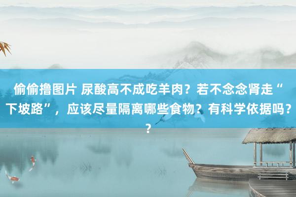 偷偷撸图片 尿酸高不成吃羊肉？若不念念肾走“下坡路”，应该尽量隔离哪些食物？有科学依据吗？