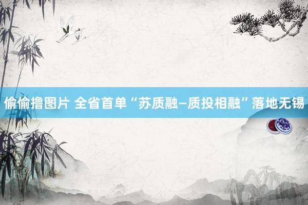 偷偷撸图片 全省首单“苏质融—质投相融”落地无锡