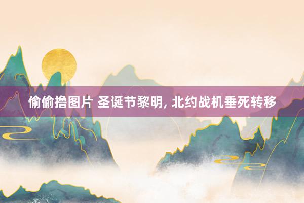 偷偷撸图片 圣诞节黎明, 北约战机垂死转移