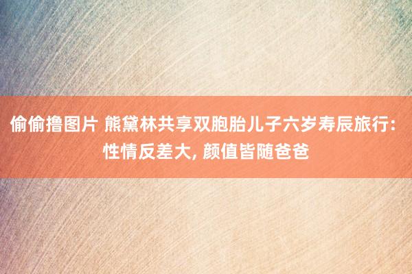 偷偷撸图片 熊黛林共享双胞胎儿子六岁寿辰旅行: 性情反差大, 颜值皆随爸爸