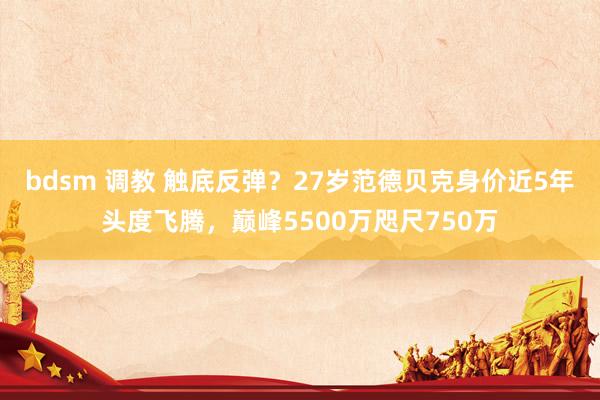 bdsm 调教 触底反弹？27岁范德贝克身价近5年头度飞腾，巅峰5500万咫尺750万