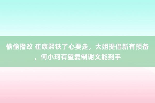 偷偷撸改 崔康熙铁了心要走，大姐提倡新有预备，何小珂有望复制谢文能到手