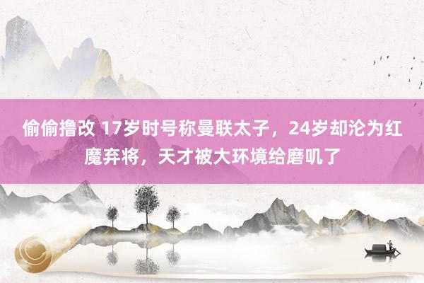 偷偷撸改 17岁时号称曼联太子，24岁却沦为红魔弃将，天才被大环境给磨叽了