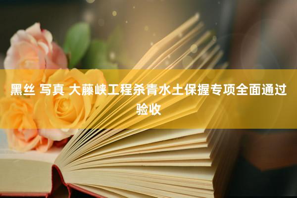 黑丝 写真 大藤峡工程杀青水土保握专项全面通过验收