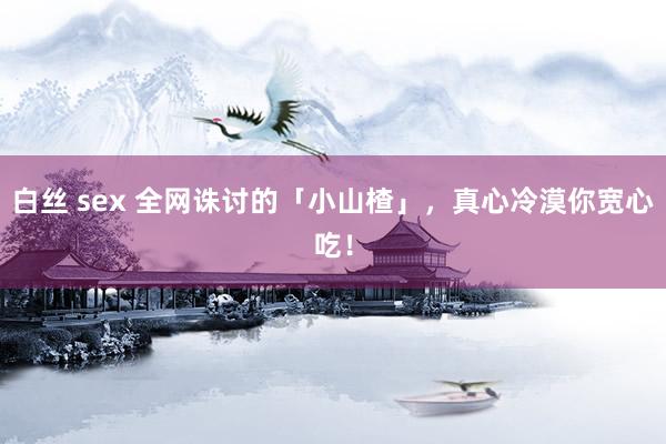 白丝 sex 全网诛讨的「小山楂」，真心冷漠你宽心吃！