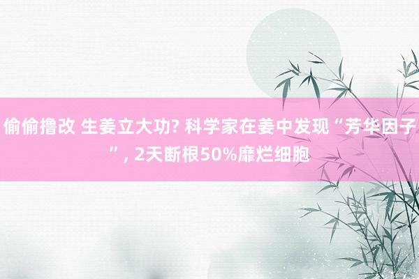 偷偷撸改 生姜立大功? 科学家在姜中发现“芳华因子”, 2天断根50%靡烂细胞