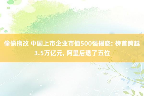 偷偷撸改 中国上市企业市值500强揭晓: 榜首跨越3.5万亿元, 阿里后退了五位