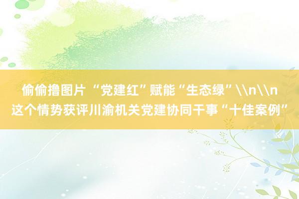 偷偷撸图片 “党建红”赋能“生态绿”\n\n这个情势获评川渝机关党建协同干事“十佳案例”