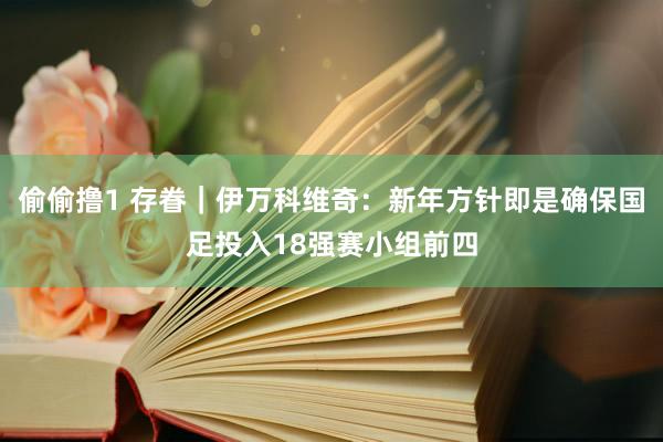 偷偷撸1 存眷｜伊万科维奇：新年方针即是确保国足投入18强赛小组前四
