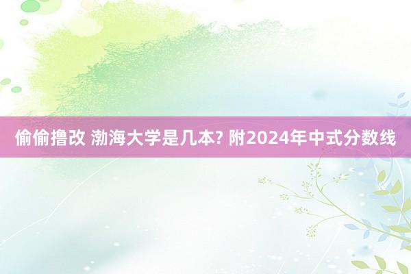 偷偷撸改 渤海大学是几本? 附2024年中式分数线