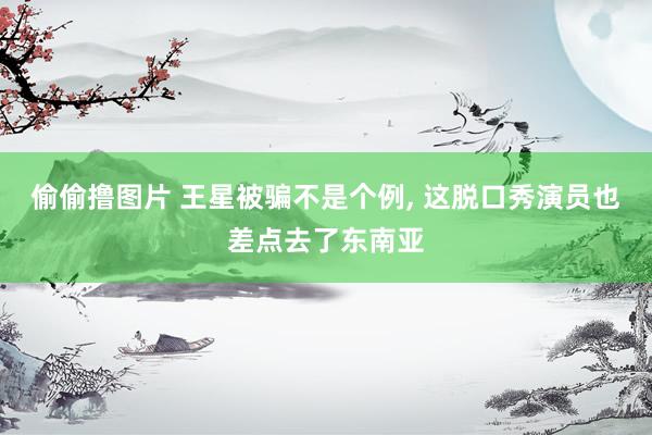 偷偷撸图片 王星被骗不是个例, 这脱口秀演员也差点去了东南亚