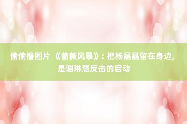 偷偷撸图片 《蔷薇风暴》: 把杨晶晶留在身边, 是谢琳慧反击的启动