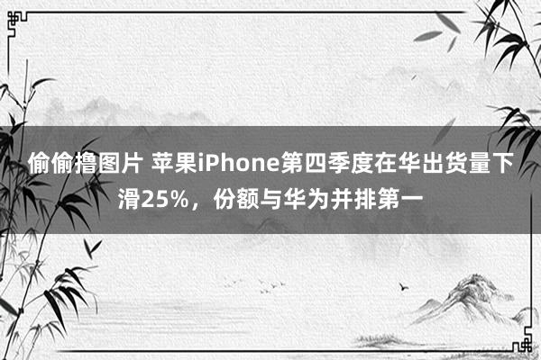 偷偷撸图片 苹果iPhone第四季度在华出货量下滑25%，份额与华为并排第一