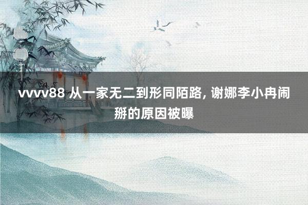 vvvv88 从一家无二到形同陌路, 谢娜李小冉闹掰的原因被曝