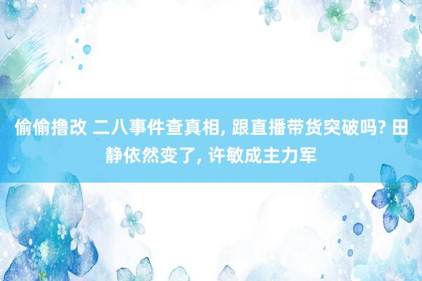偷偷撸改 二八事件查真相, 跟直播带货突破吗? 田静依然变了, 许敏成主力军