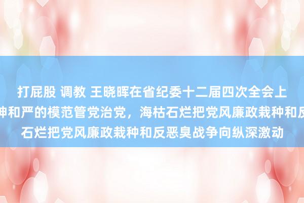 打屁股 调教 王晓晖在省纪委十二届四次全会上强调：对持用革新精神和严的模范管党治党，海枯石烂把党风廉政栽种和反恶臭战争向纵深激动