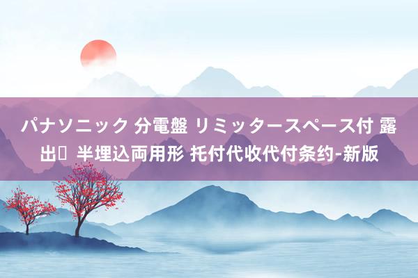 パナソニック 分電盤 リミッタースペース付 露出・半埋込両用形 托付代收代付条约-新版