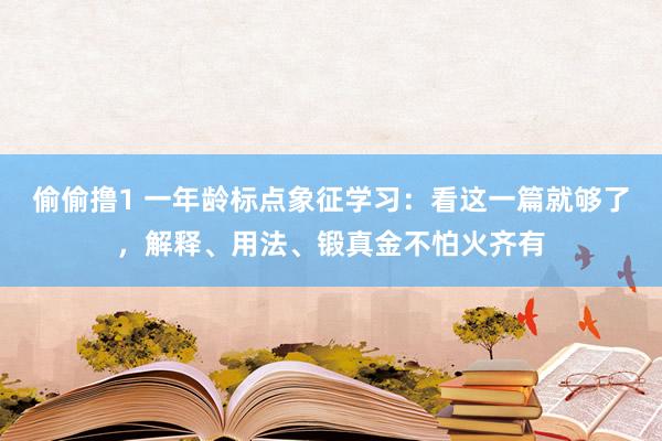 偷偷撸1 一年龄标点象征学习：看这一篇就够了，解释、用法、锻真金不怕火齐有