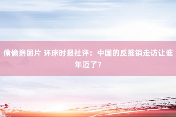 偷偷撸图片 环球时报社评：中国的反推销走访让谁年迈了？
