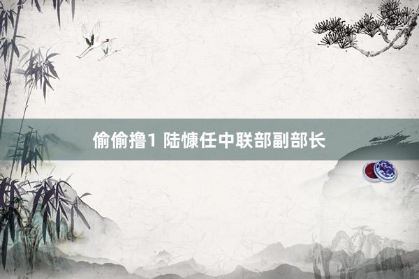 偷偷撸1 陆慷任中联部副部长