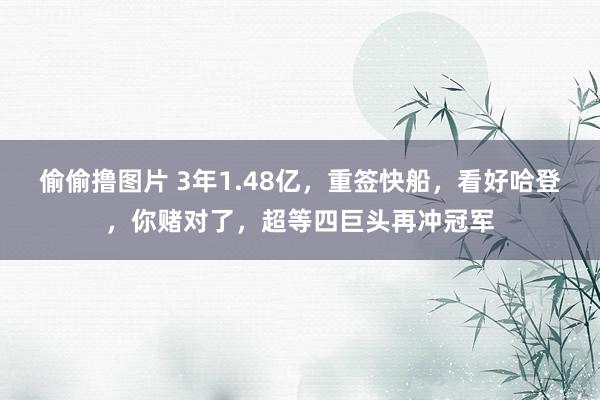 偷偷撸图片 3年1.48亿，重签快船，看好哈登，你赌对了，超等四巨头再冲冠军