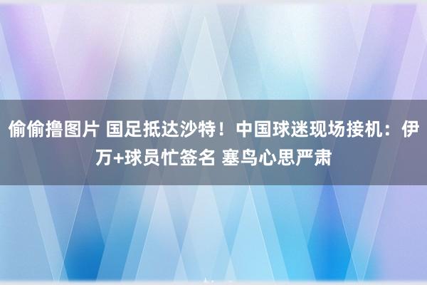 偷偷撸图片 国足抵达沙特！中国球迷现场接机：伊万+球员忙签名 塞鸟心思严肃