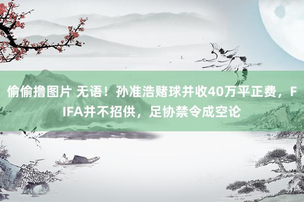 偷偷撸图片 无语！孙准浩赌球并收40万平正费，FIFA并不招供，足协禁令成空论