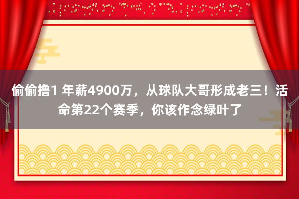 偷偷撸1 年薪4900万，从球队大哥形成老三！活命第22个赛季，你该作念绿叶了