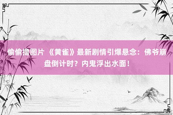 偷偷撸图片 《黄雀》最新剧情引爆悬念：佛爷崩盘倒计时？内鬼浮出水面！