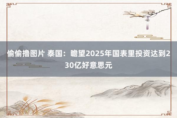 偷偷撸图片 泰国：瞻望2025年国表里投资达到230亿好意思元