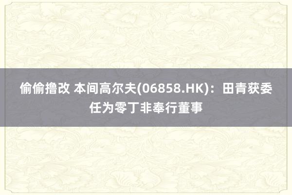 偷偷撸改 本间高尔夫(06858.HK)：田青获委任为零丁非奉行董事